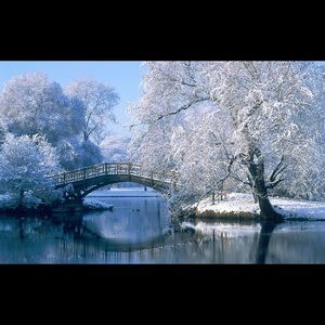 Coupon Code....25% off any one piece of clothing